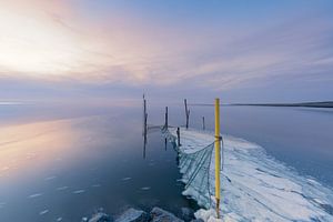 Visnetten in glad water op het Wad