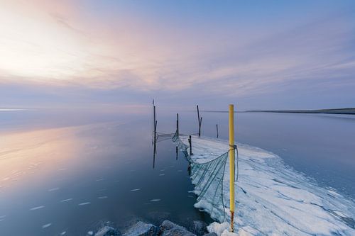 Fishing nets in smooth water on the Wadden Sea