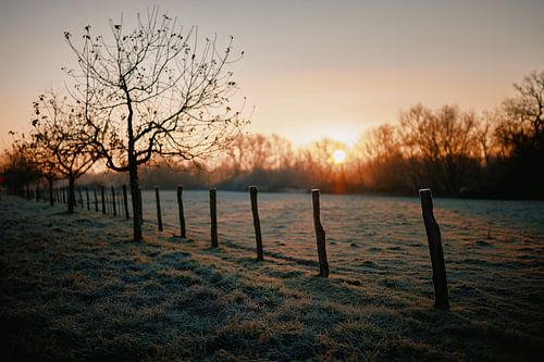 Dageraad in het natuurreservaat in Bünde