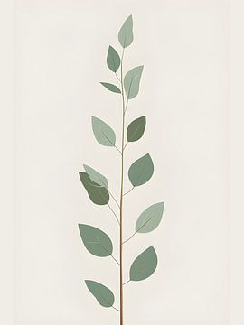 botanique simple sur Giandra Safaraz