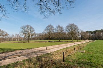 Coulisselandschap in de Achterhoek van Tonko Oosterink