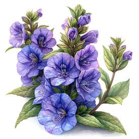 Angelonia Flüstern von Chromatic Fusion Studio