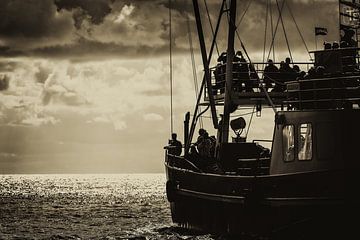 Pêcheur de crevettes sur Willem  Bentink