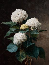 Hortensien Blumen Gemälde von IamHome Studio