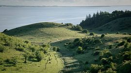 Dawn in the Hills of Flade by Lene Shannon