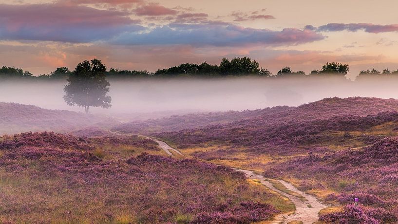 Sunrise in the Gasterse Duinen, Drenthe by Henk Meijer Photography