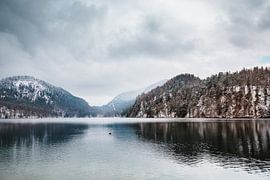 Alpsee | Winter in the Alps by Nanda van der Eijk