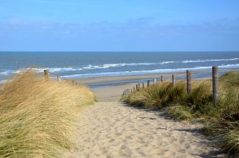 Weg zum Strand