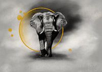 Olifant modern