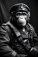 Chimpansee leger grappig