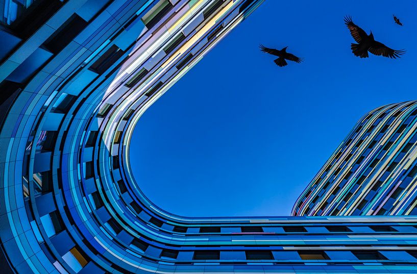 Regarder les différentes formes d'un bâtiment par Bob Janssen