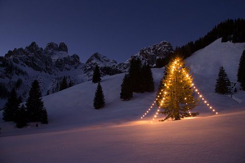 My favorite Christmas Tree by Coen Weesjes