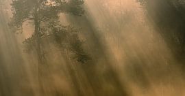 Prachtig sfeer landschap van Jan Linskens