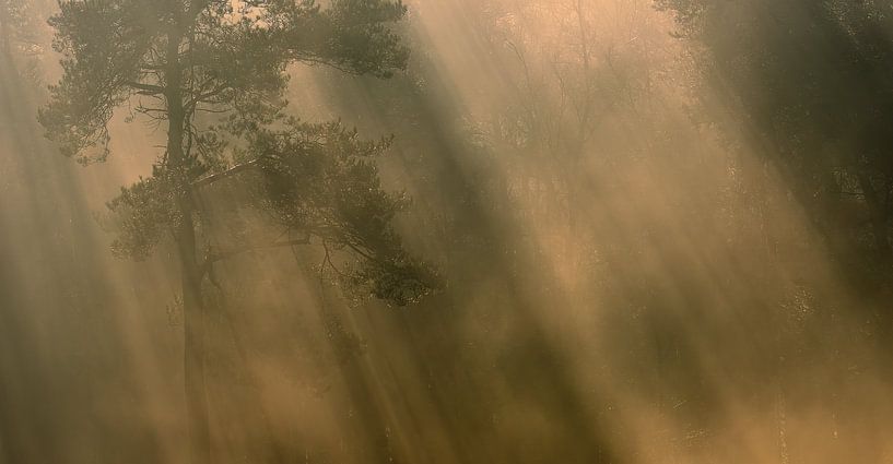 Beautiful atmospheric landscape by Jan Linskens