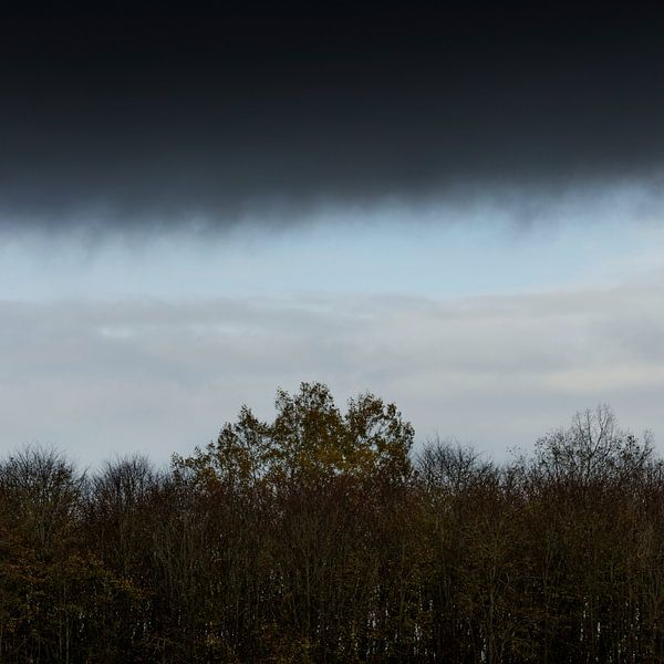 Dunkle Wolken in einem Herbstwald von Rene  den Engelsman