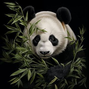 Panda van The Xclusive Art