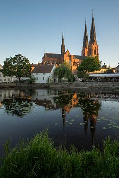Uppsala zweden van Remco van Adrichem