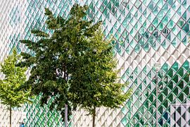 Glasfassade am Futurium Berlin