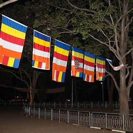 kleurrijke vlag, Boeddhisme, Sri Lanka. by Rony Coevoet