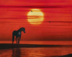 Ein Pferd beobachtet den Sonnenuntergang über dem Meer