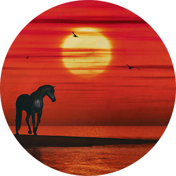 Een paard kijkt naar de zonsondergang boven de zee