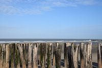 Here on the Coast