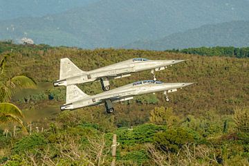 Taiwanese Northrop F-5F en F-5E Tiger II.