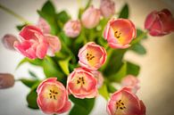 Boeket roze tulpen van Bas van Gelderen thumbnail