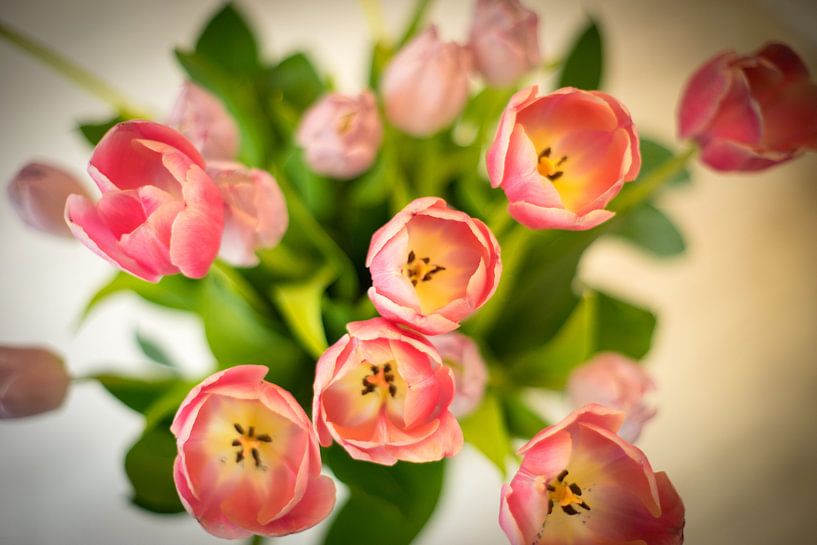 Boeket roze tulpen van Bas van Gelderen