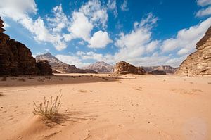 Wadi Rum Woestijn van Laura Vink