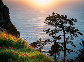 Sunset in the sea on Madeira's coast by Erwin Pilon
