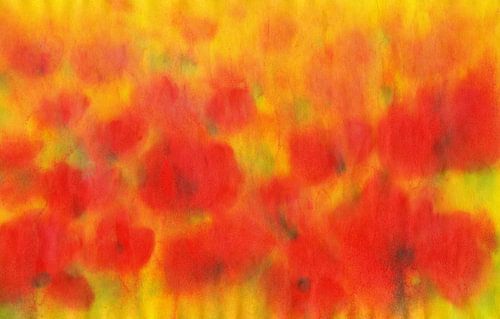 Klaprozen in de avondzon