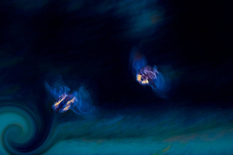 Möwen fliegen über das Meer von Francis Dost