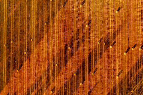 L'art de l'agriculture