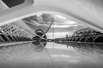 Pont l'Assut de l'Or by Rob van der Wal