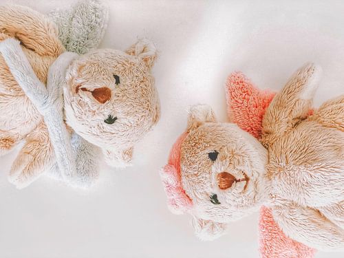 Vrienden  in de kinderkamer