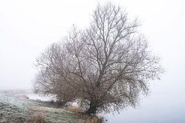 Heteren part 25 by Tania Perneel