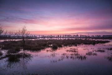 Blauw roze kleurende lucht bij zonsopkomst van Anneke Hooijer