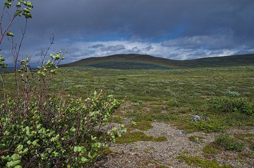 Zicht op Goarvevarri