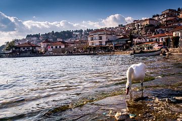 Ohrid