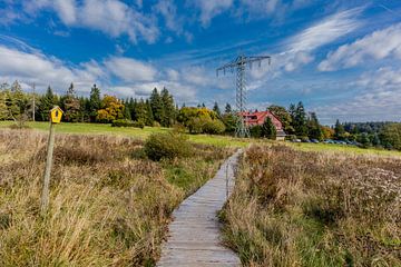Herbstwanderung durch den Thüringer Wald von Oliver Hlavaty