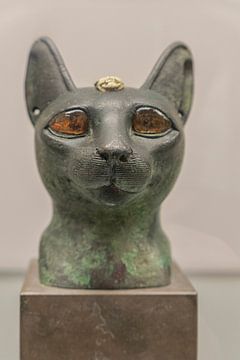 Tête de chat égyptien aux yeux d'ambre. La déesse Bastet