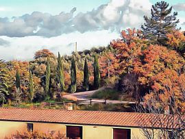 Dezemberfarben mit Zypresse Umbria von Dorothy Berry-Lound