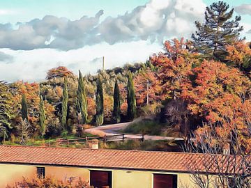December Colors With Cypress Umbria
