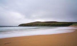 Stilte sur Wendy Drent