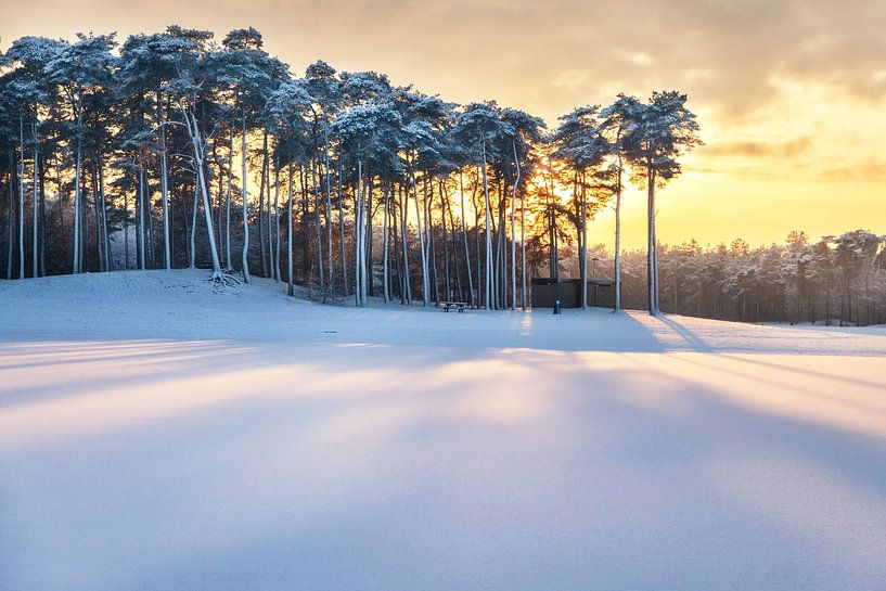 Winter Wonderland van Martijn Schruijer