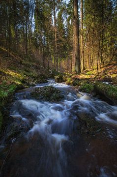 Waterval in de Harz van Steffen Gierok