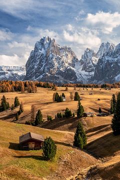 Autumn in South Tyrol by Achim Thomae