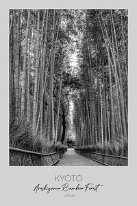 In focus: KYOTO Arashiyama Bamboo Forest