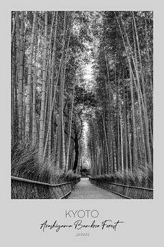 In focus: KYOTO Arashiyama Bamboo Forest